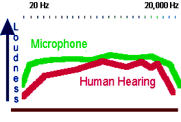 human hearing